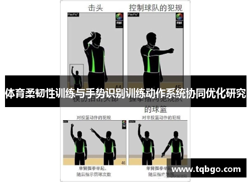 体育柔韧性训练与手势识别训练动作系统协同优化研究