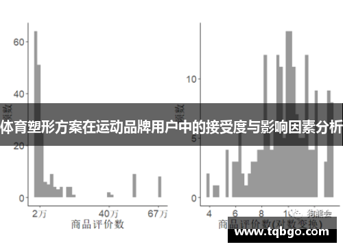 体育塑形方案在运动品牌用户中的接受度与影响因素分析